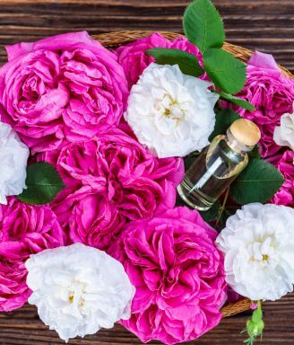 Rose Extract Serum